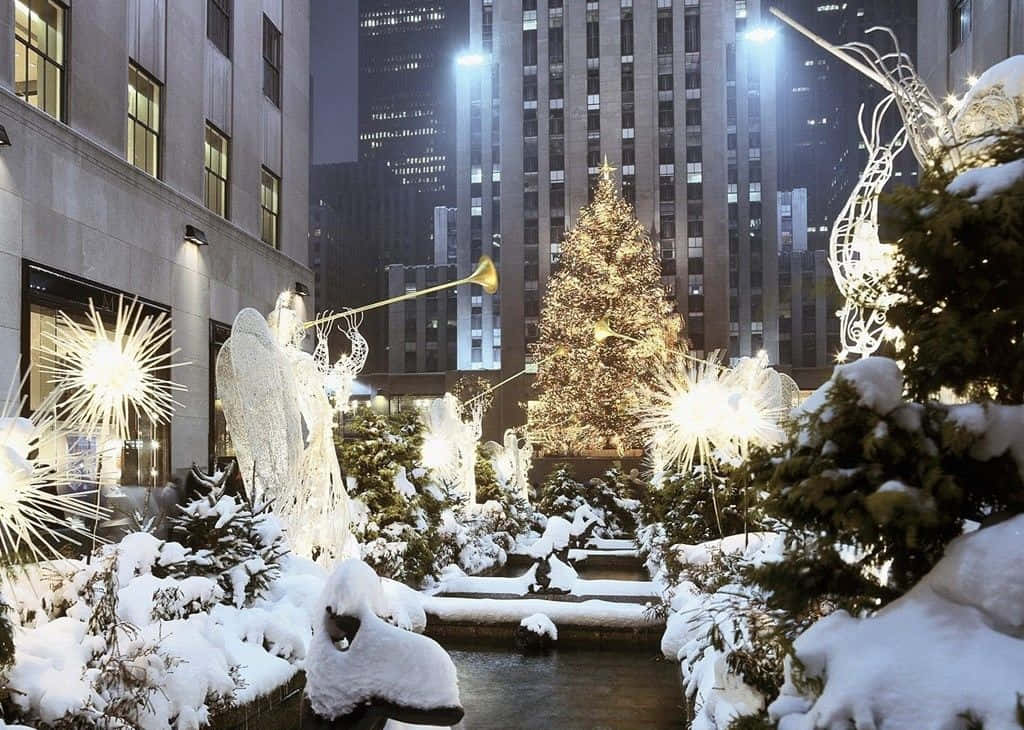 Christmas tree, festive angel sculptures, city plaza, SD Desktop Wallpaper