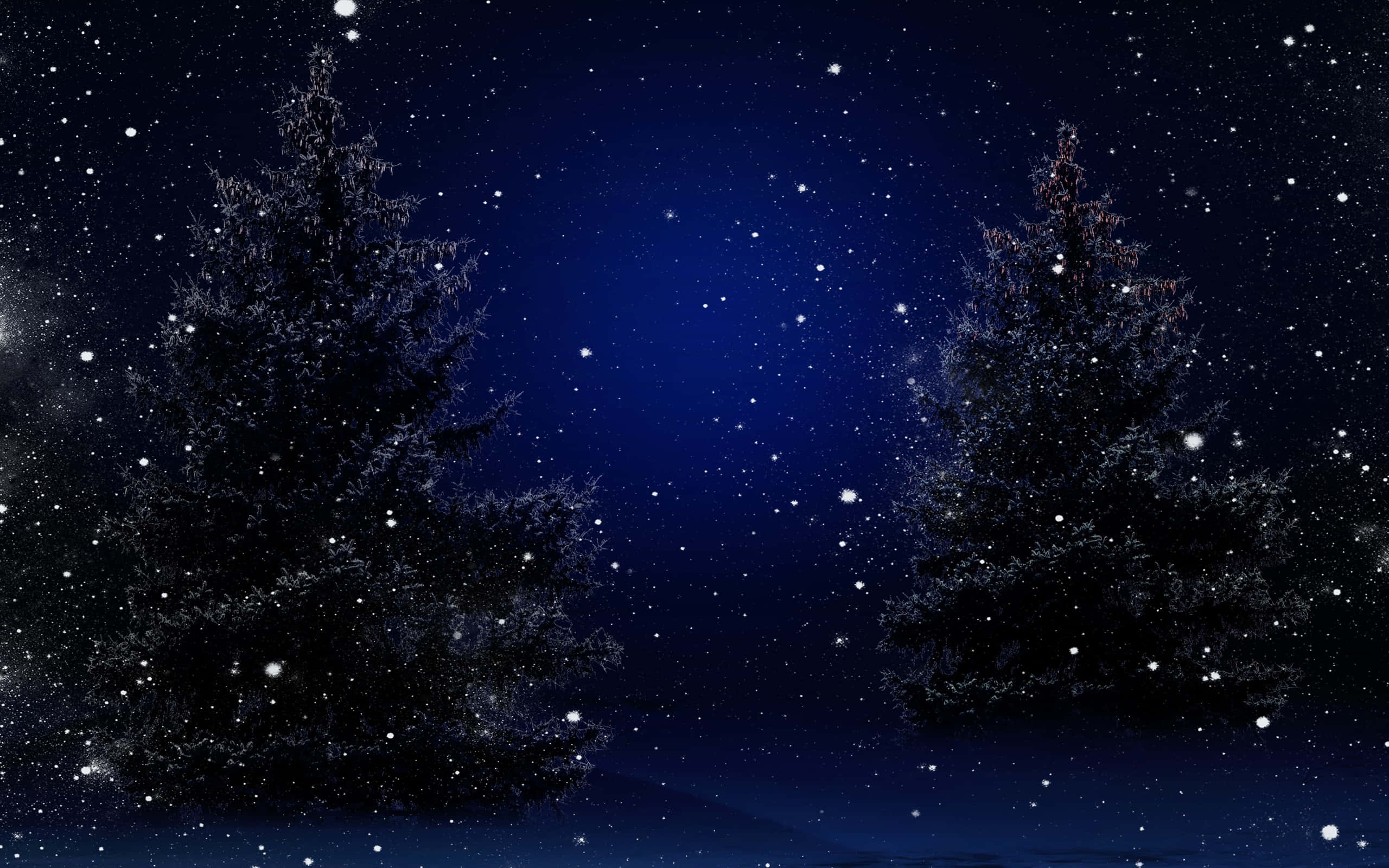 Winter Night Desktop, pine trees, deep blue starry night sky, 2K Desktop Wallpaper