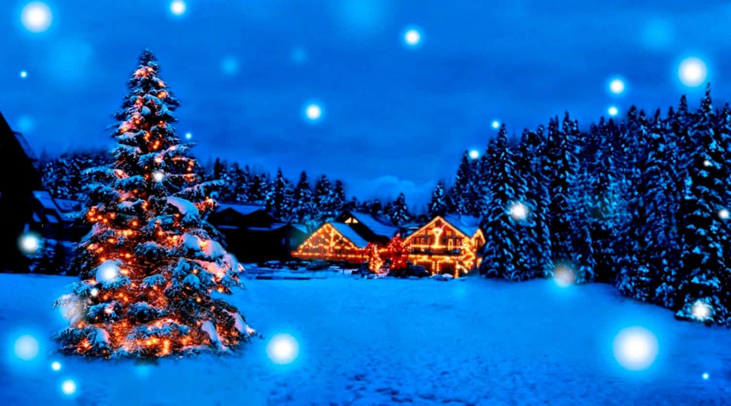 Winter Christmas Desktop, snow-covered Christmas tree, warm lights, HD Desktop Wallpaper