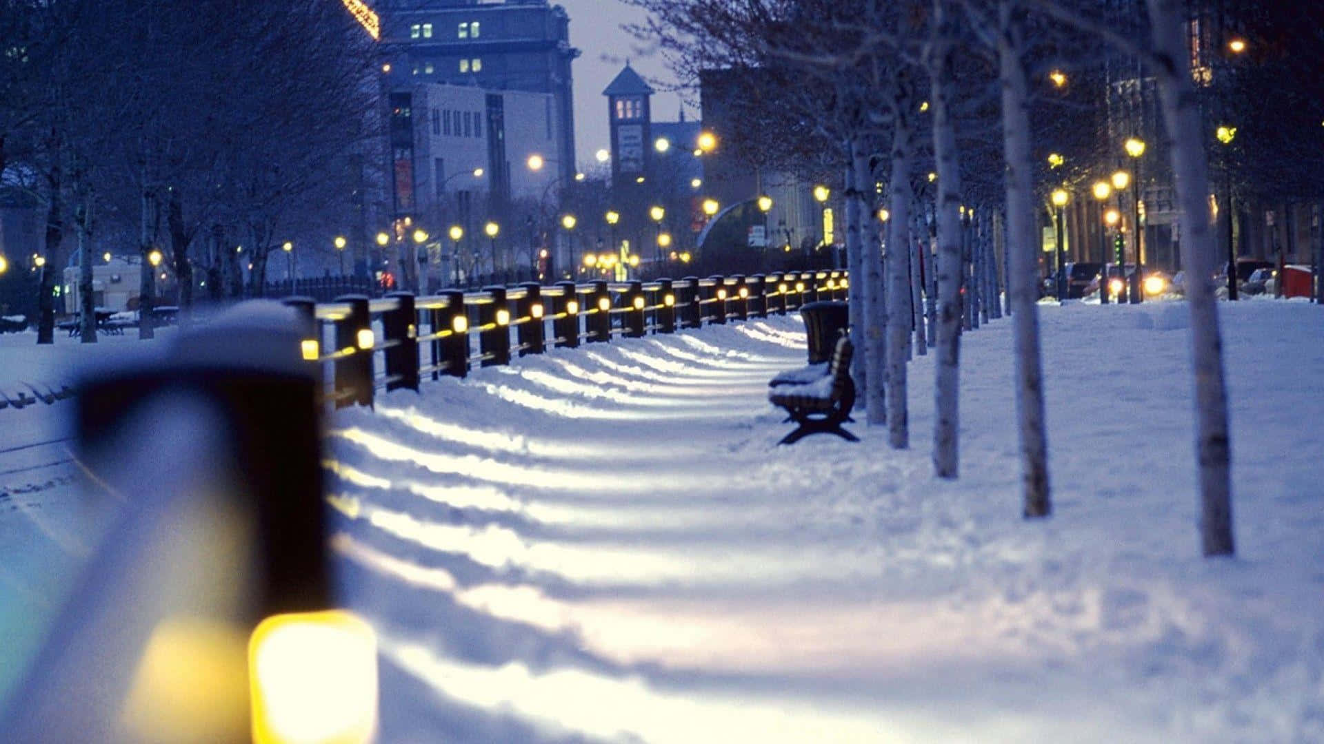 Winter Cityscape, city sidewalk, bare trees, Full HD Desktop Wallpaper