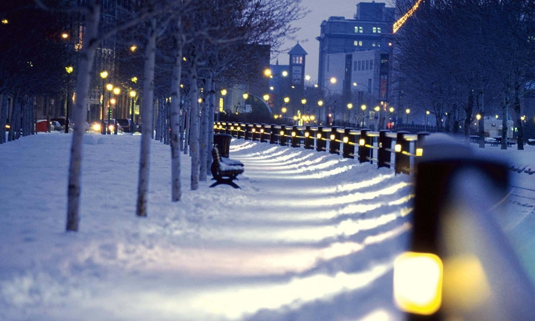 Winter Cityscape, snow-covered urban park path, night, HD Desktop Wallpaper