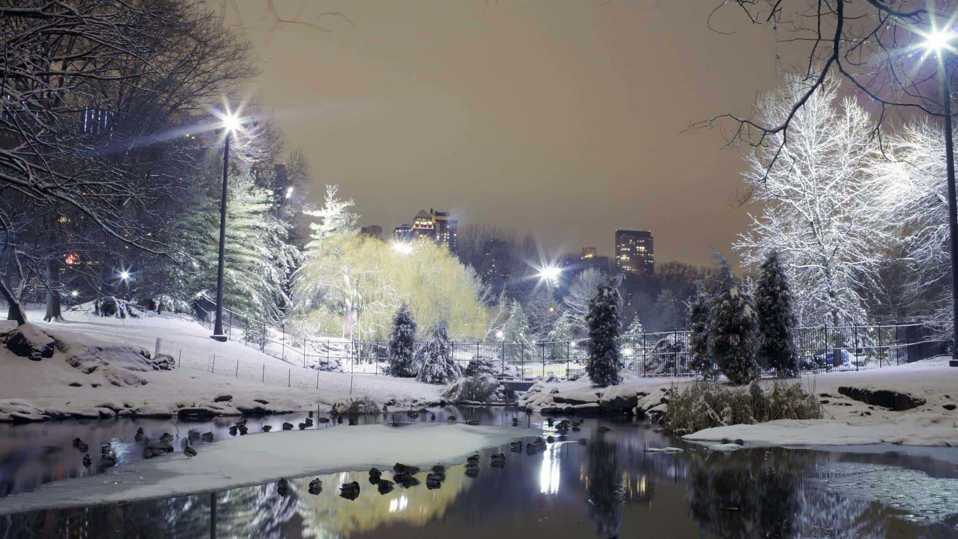 Winter Cityscape, snowy dusk, glowing streetlights, Full HD Desktop Wallpaper