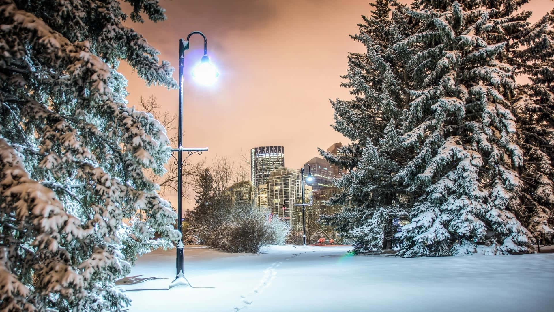 Winter Cityscape, snow-covered streets, glowing streetlamp, Full HD Desktop Wallpaper