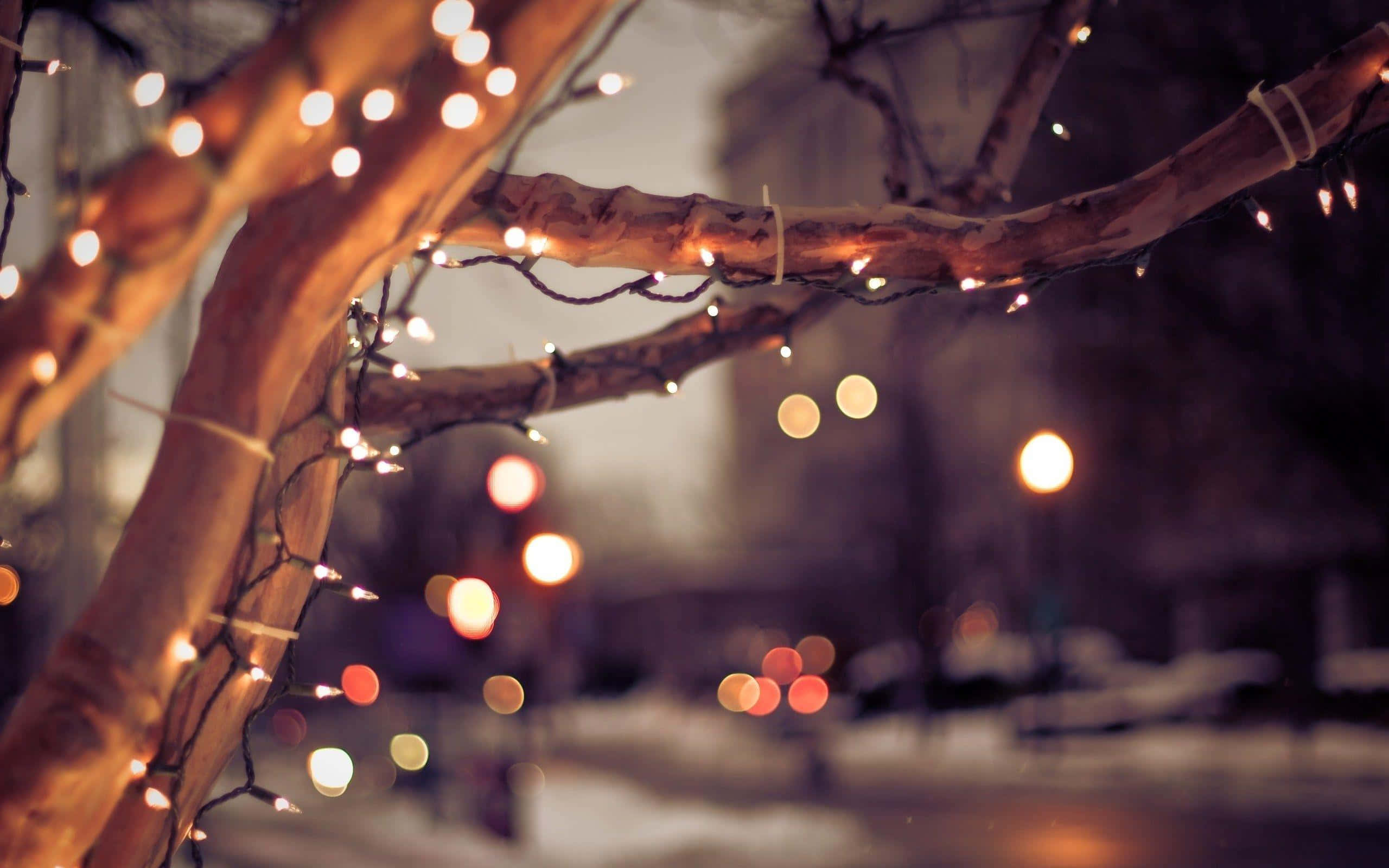 Winter Cityscape, twisted tree branches, twinkling fairy lights, 2K Desktop Wallpaper