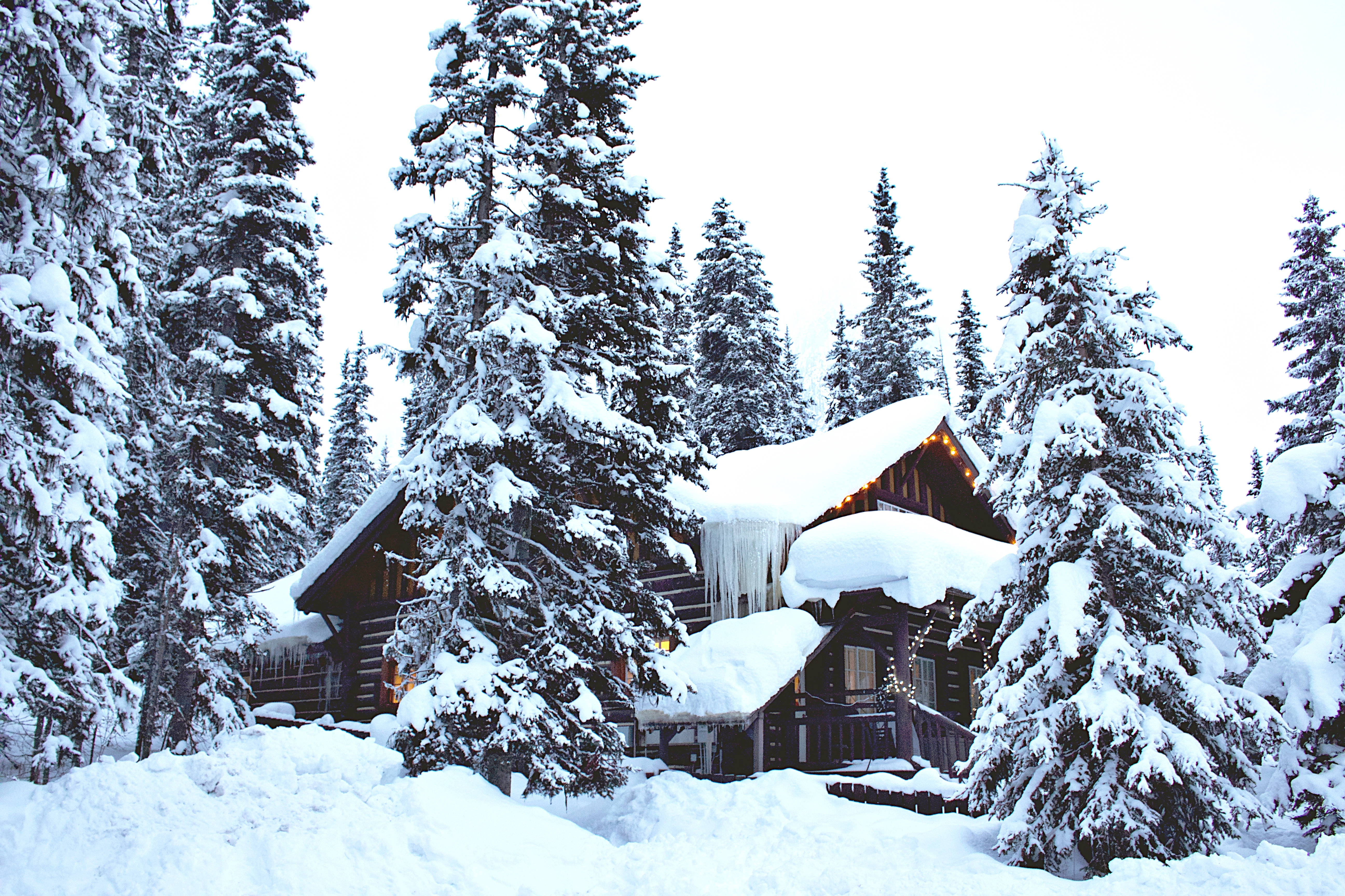 snow-covered log cabin, towering evergreens, bright winter sky, 5K Desktop Wallpaper