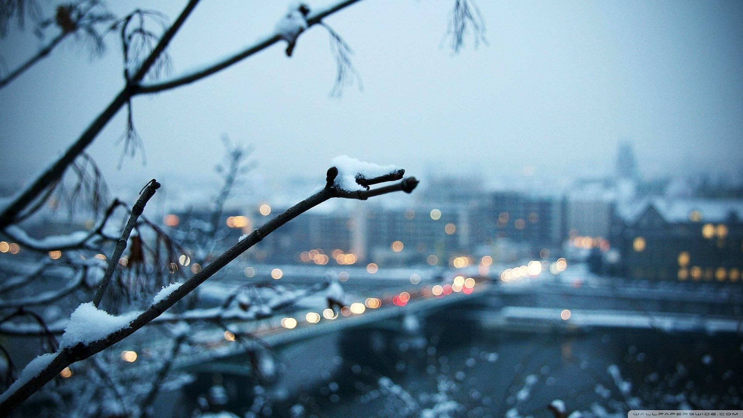 snowy weather, city, bare branches, Full HD Desktop Wallpaper
