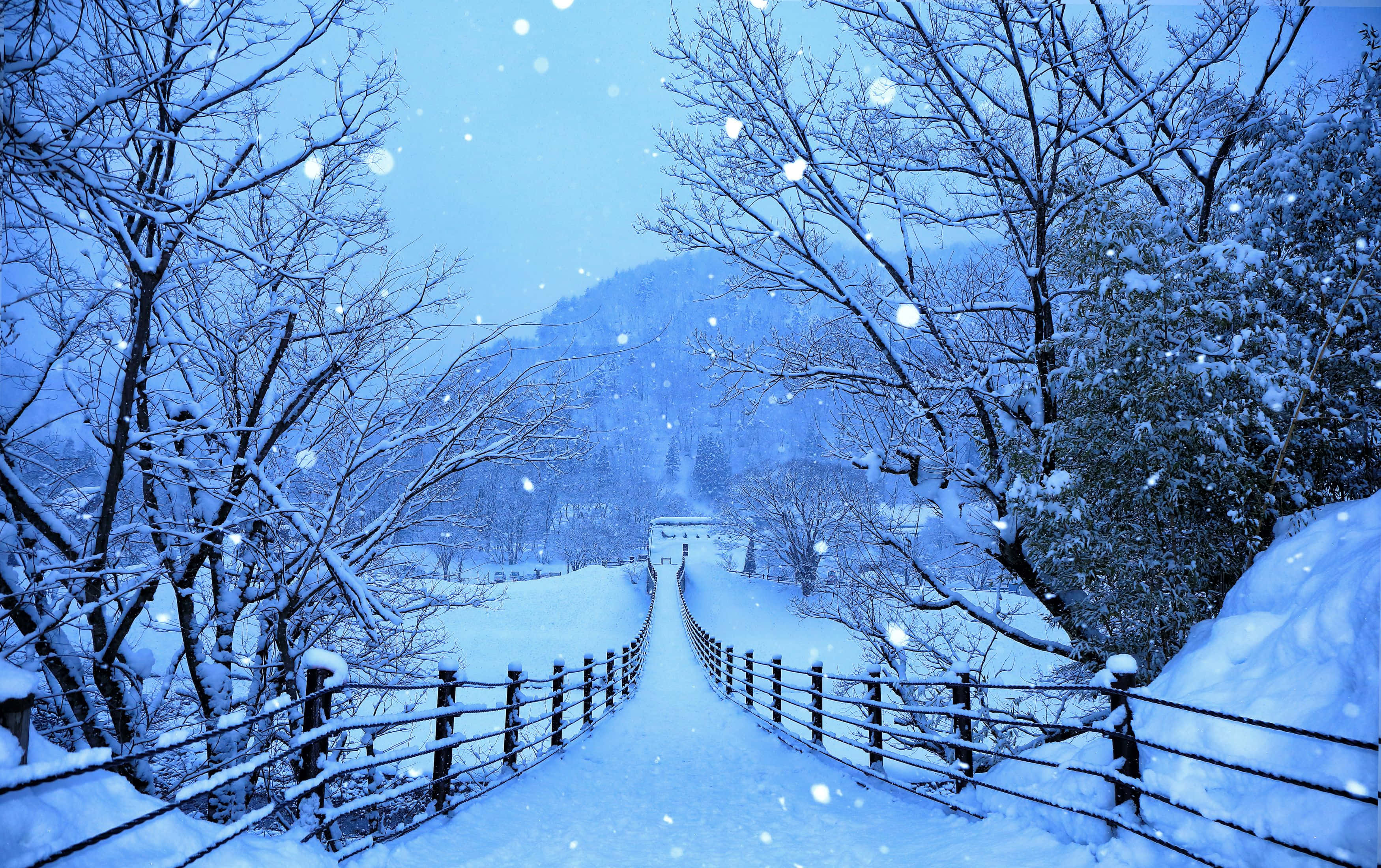 snow-covered wooden bridge, serene winter forest, falling snowflakes, 2K Desktop Wallpaper