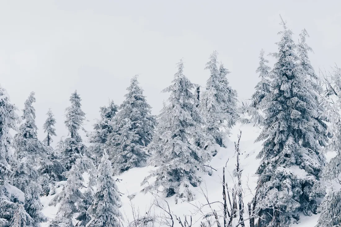 Winter Desktop
