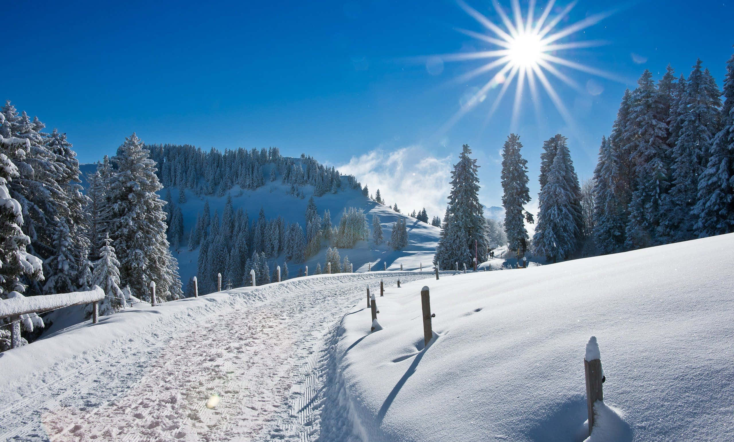 snow-covered mountain path, frosted pine trees, clear blue sky, 2K Desktop Wallpaper