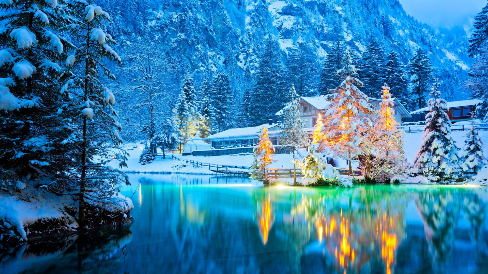 pine trees, snow, wooden cabin, Full HD Desktop Wallpaper