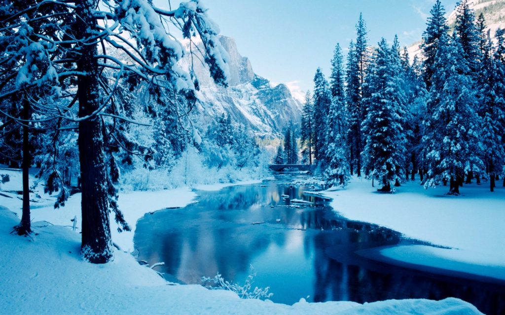 Forest Stream Winter Desktop, snow-covered pine trees, calm river, SD Desktop Wallpaper