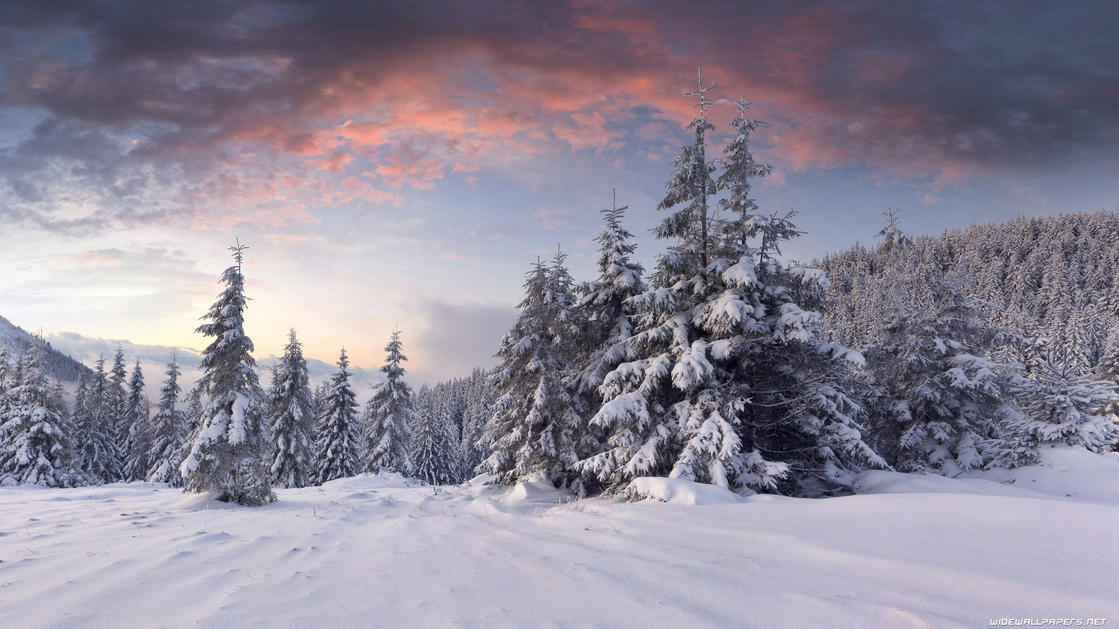 4K 16:9, winter, snowy ground, 4K Desktop Wallpaper