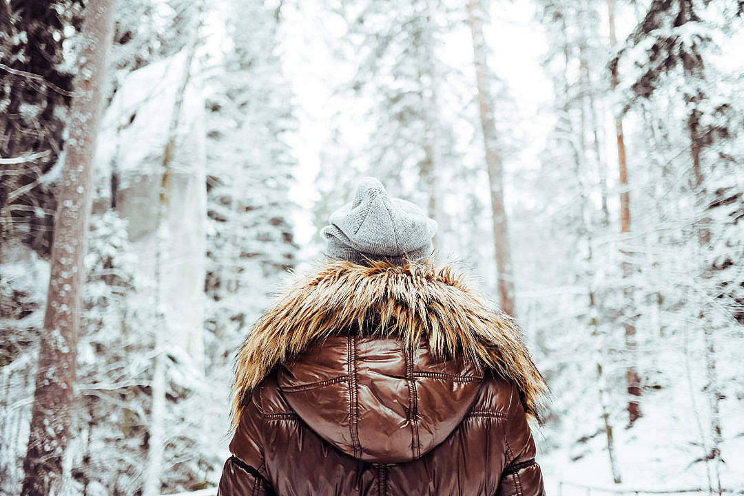 brown puffer jacket, grey beanie, snowy forest, SD Desktop Wallpaper