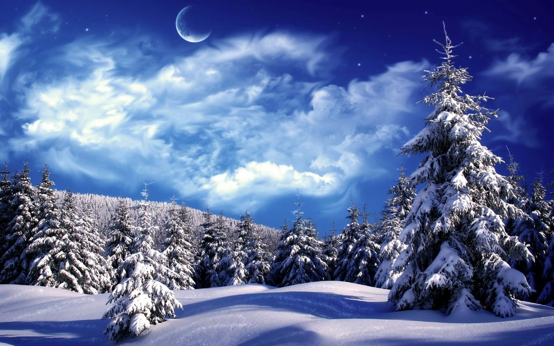 pristine snow, evergreen trees, vibrant blue night sky, Full HD Desktop Wallpaper