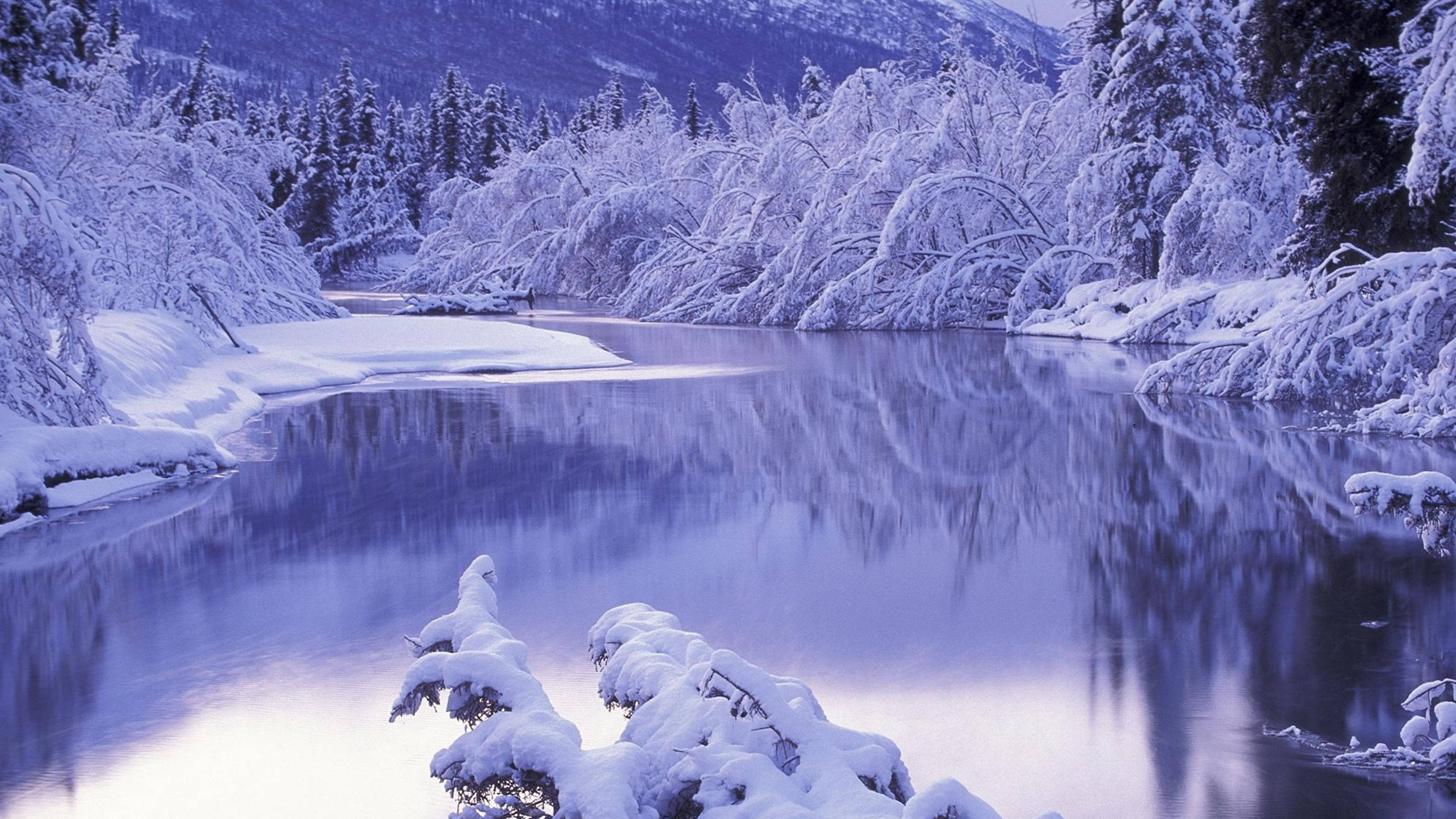4K, winter lake, snow-laden trees, 4K Desktop Wallpaper