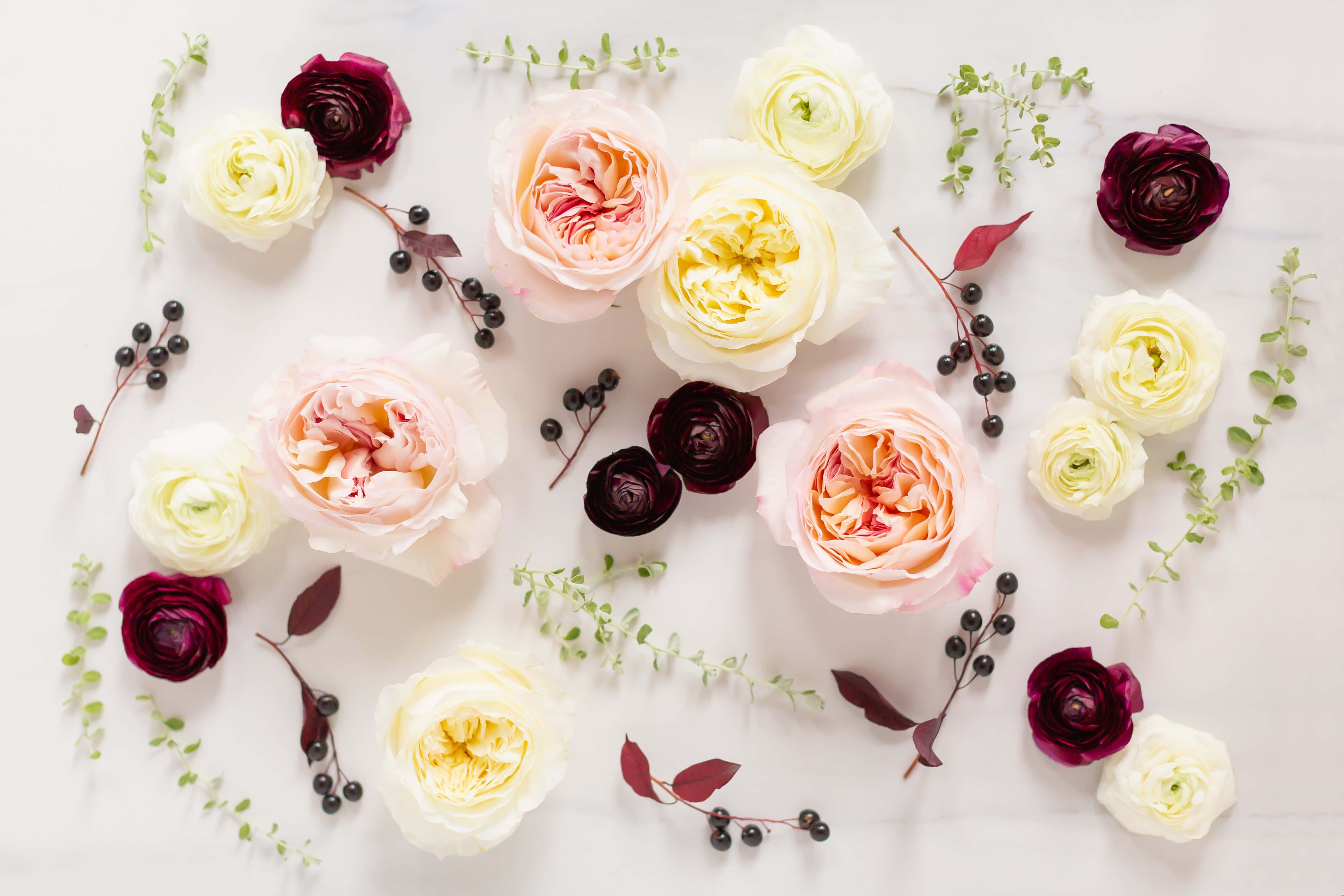 Winter Desserts, peach cream, burgundy roses, 5K Desktop Wallpaper