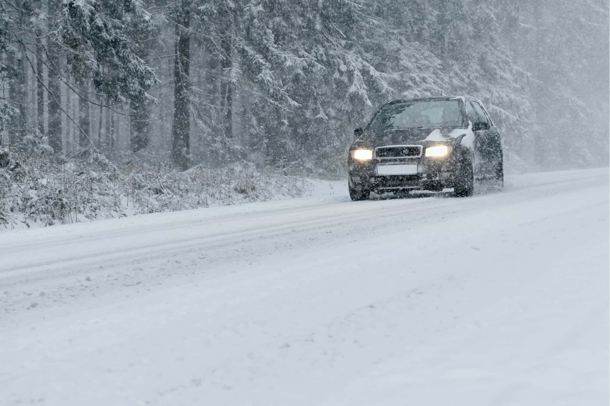 dark SUV, heavy snowstorm, forest road, Full HD Desktop Wallpaper