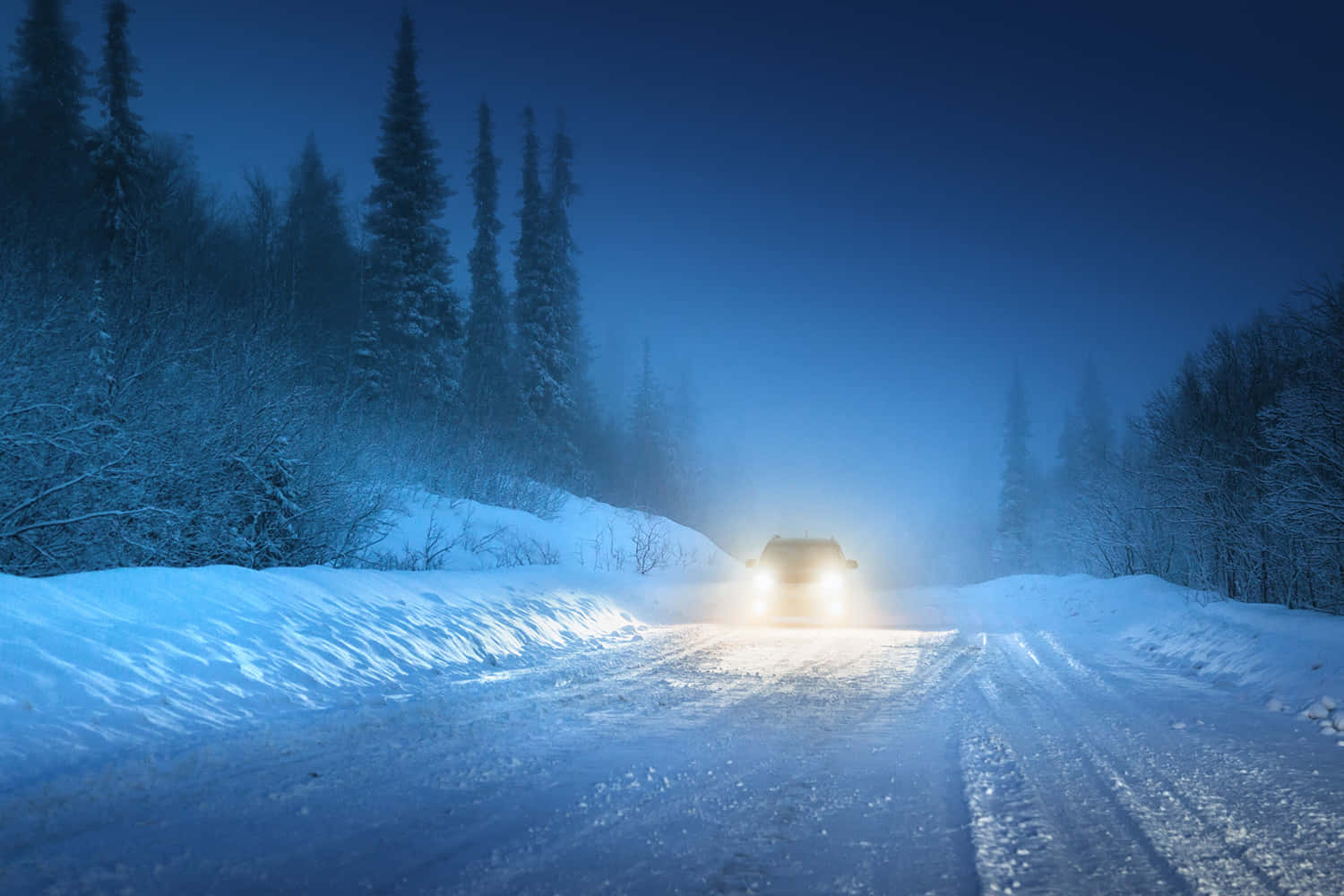snow-covered road, snowy fog, pine trees, HD Desktop Wallpaper