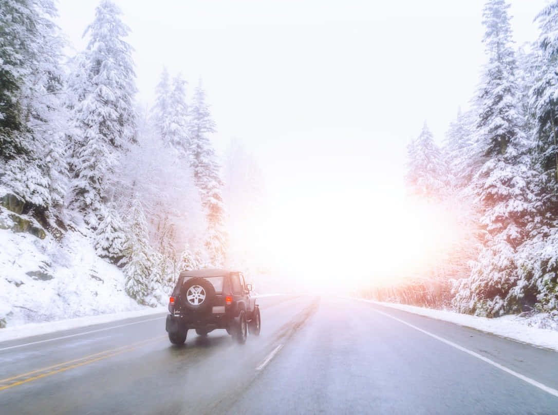black jeep, snowy forest road, bright sunlight, SD Desktop Wallpaper