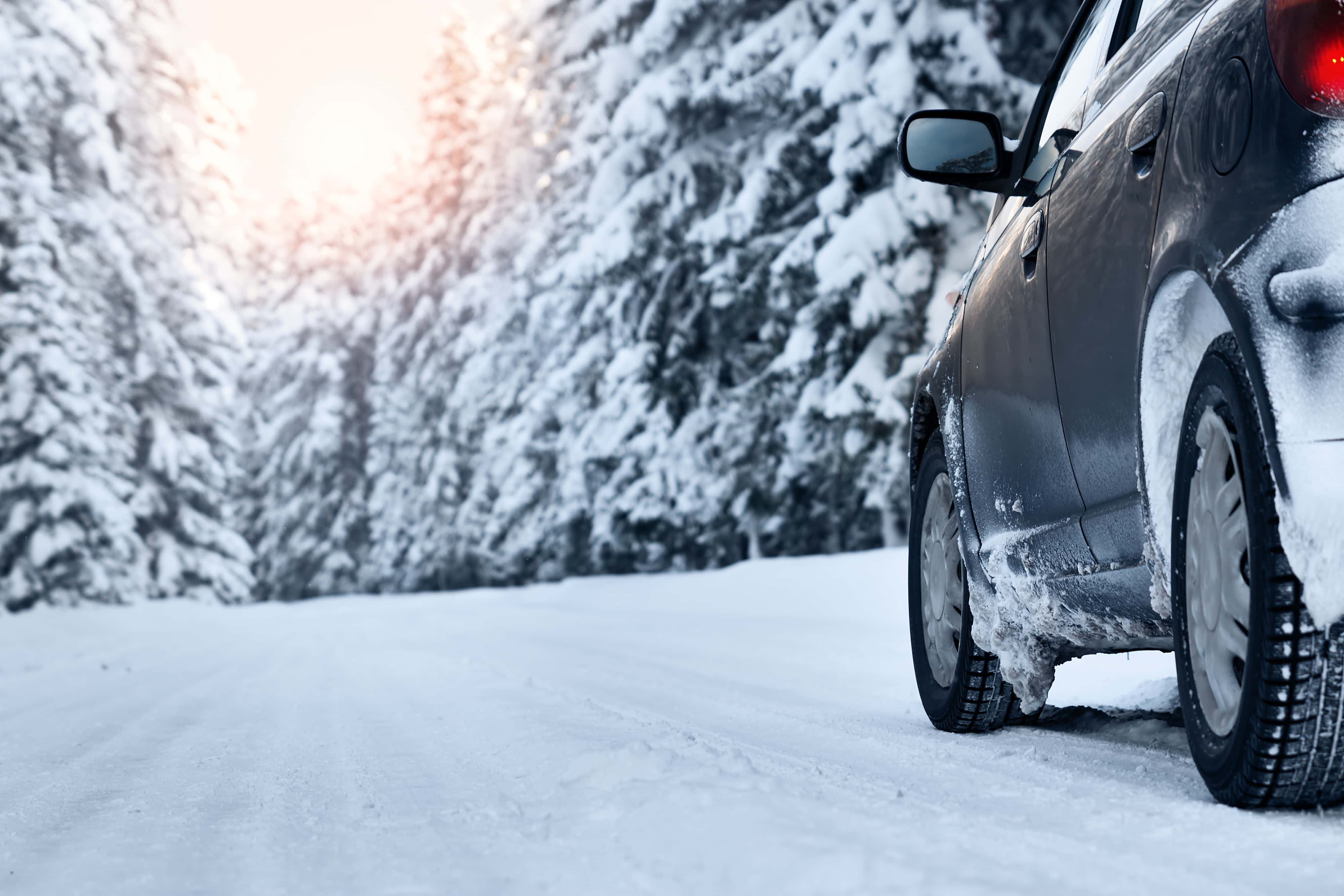 silver car, snowy road, snow-covered pine trees, 4K Desktop Wallpaper