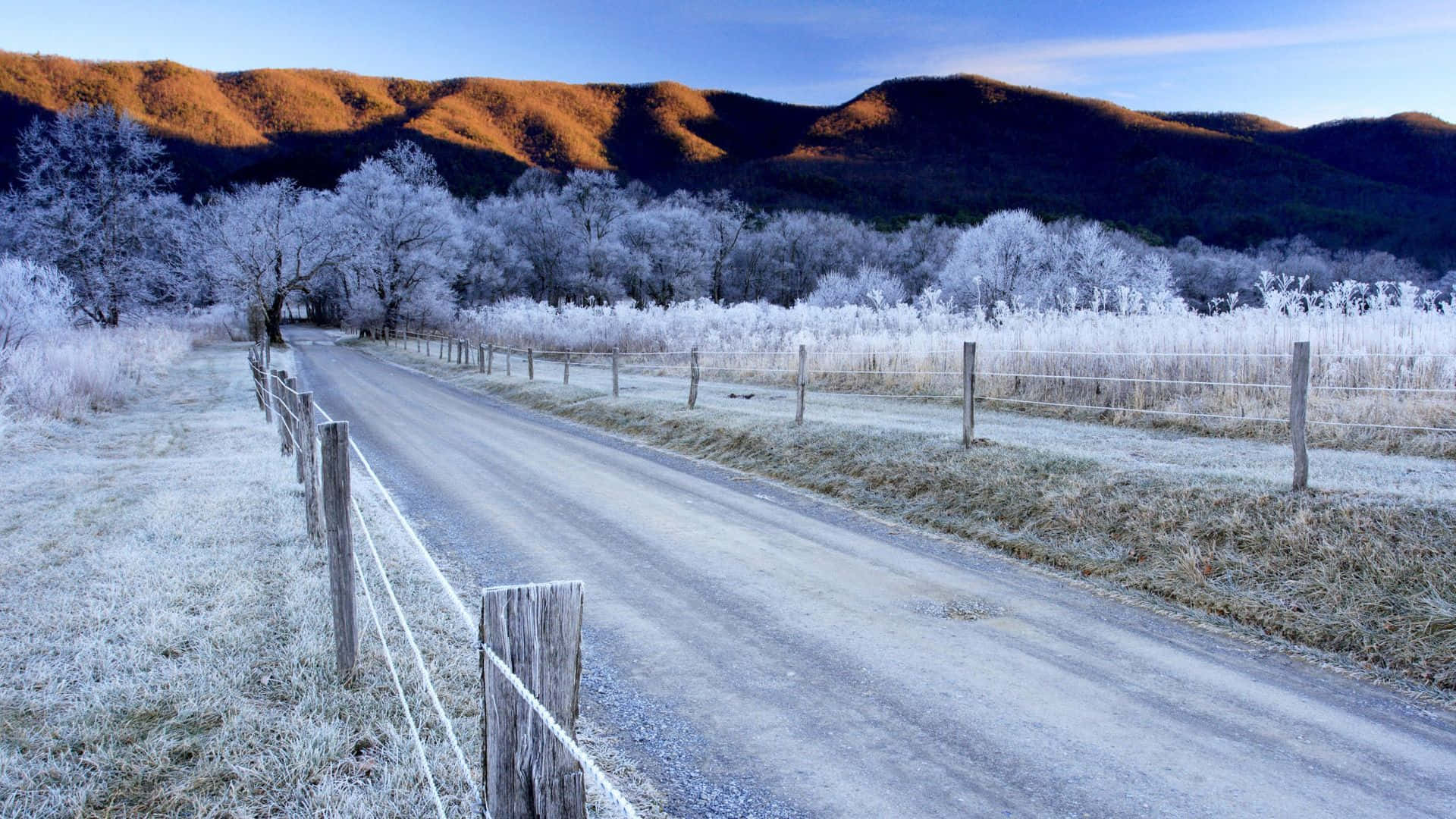 icy road, frost-covered rural road, snow-dusted trees, Full HD Desktop Wallpaper