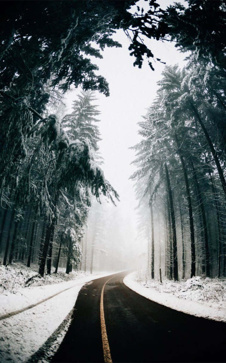 icy road, snowy road, winter forest, SD Phone Wallpaper