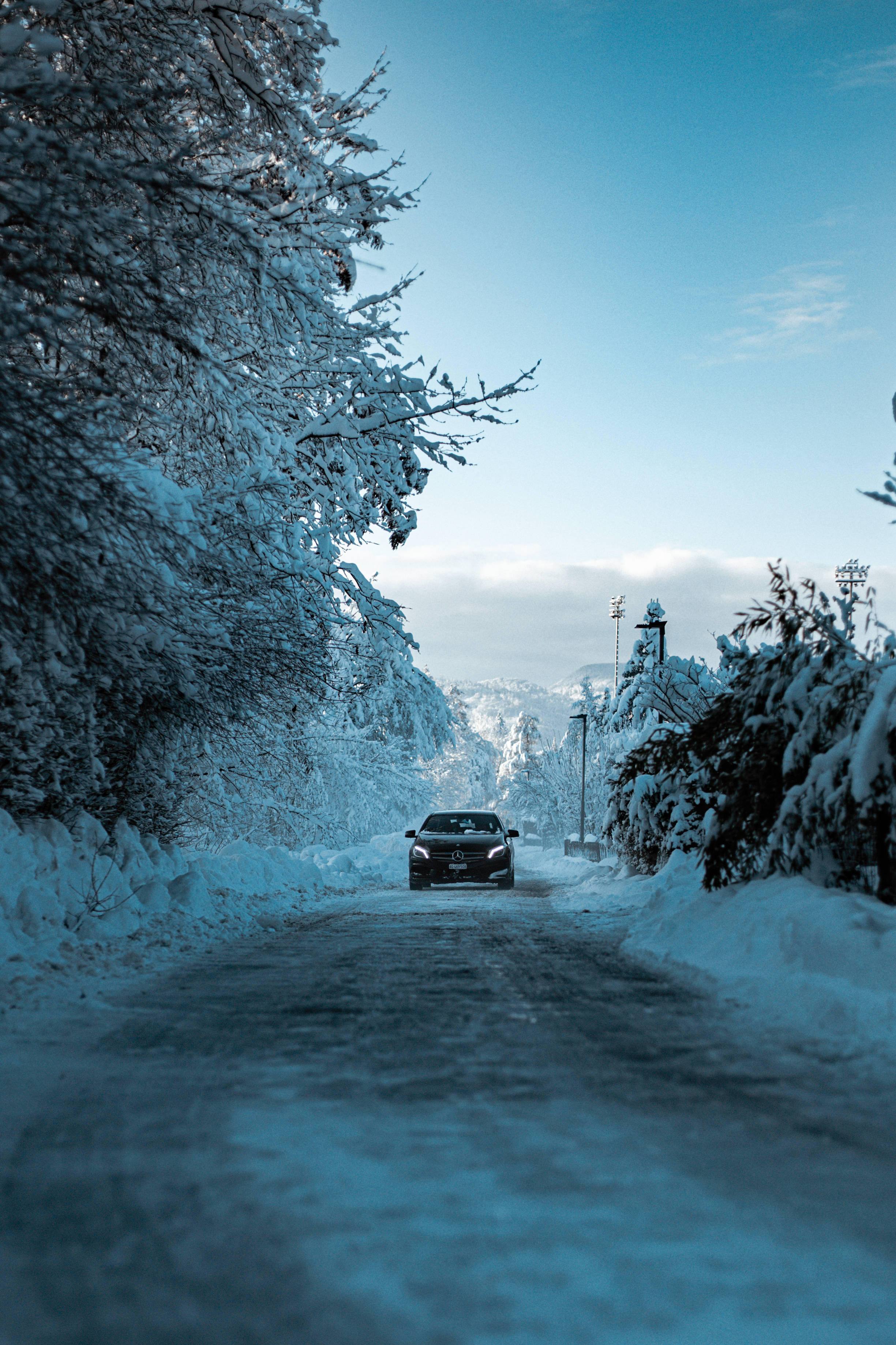 sleek black car, snow-lined road, frost-covered trees, 2K Phone Wallpaper