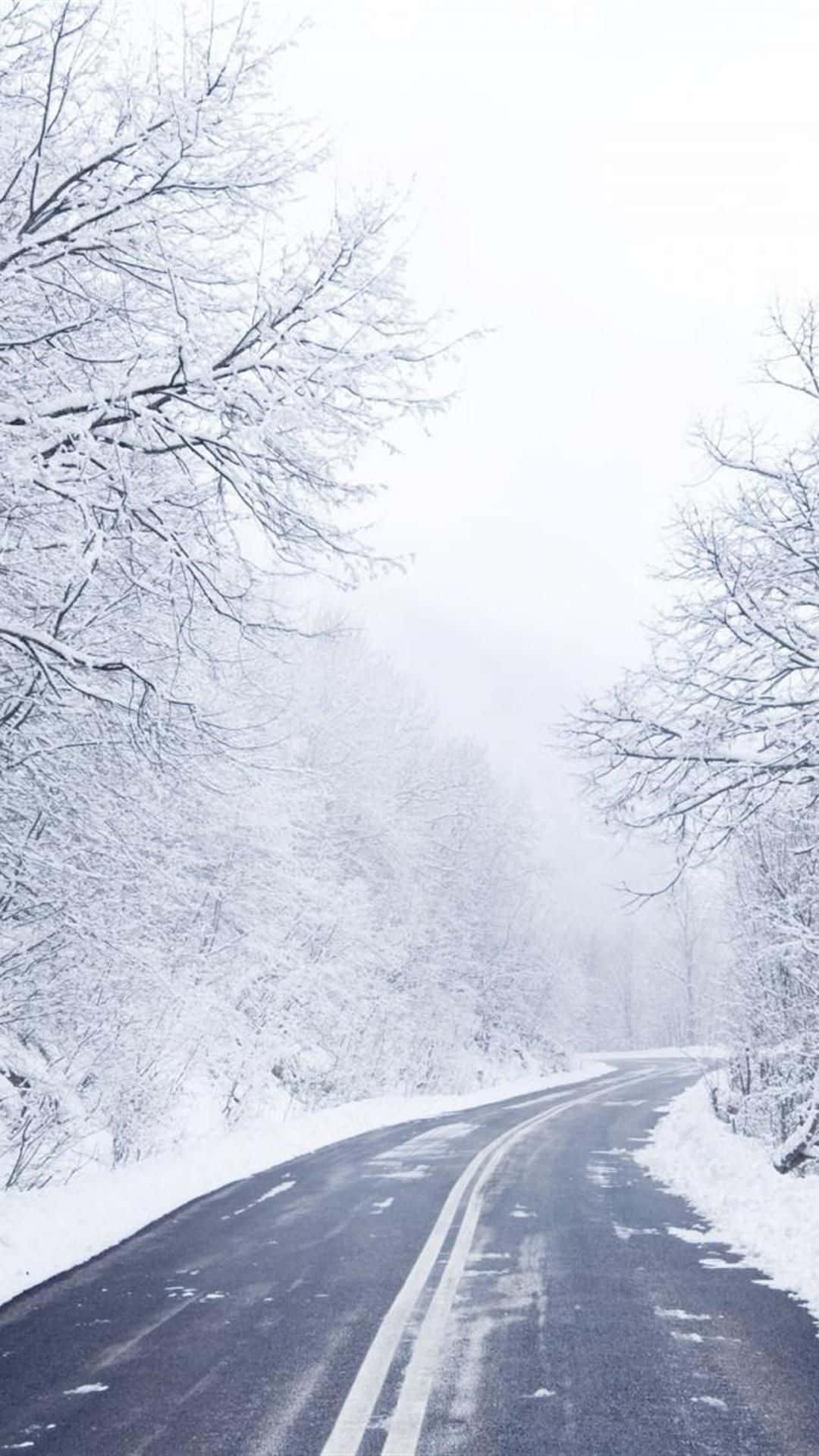 icy road, winding road, snowy forest, Full HD Phone Wallpaper