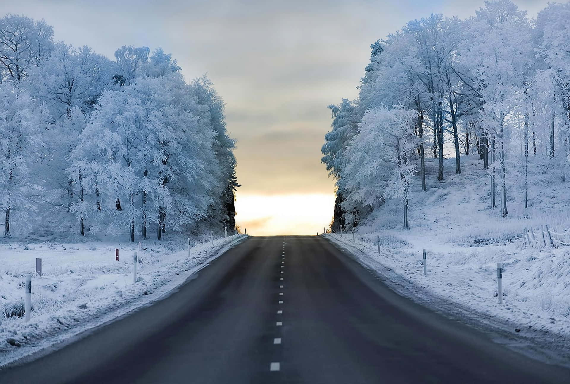 icy road, snowy road, frost-covered trees, Full HD Desktop Wallpaper