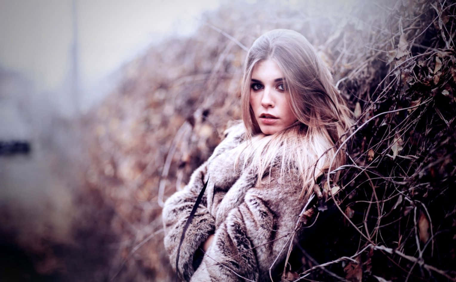 Winter Fashion, fur coat, muted autumn landscape, HD Desktop Wallpaper