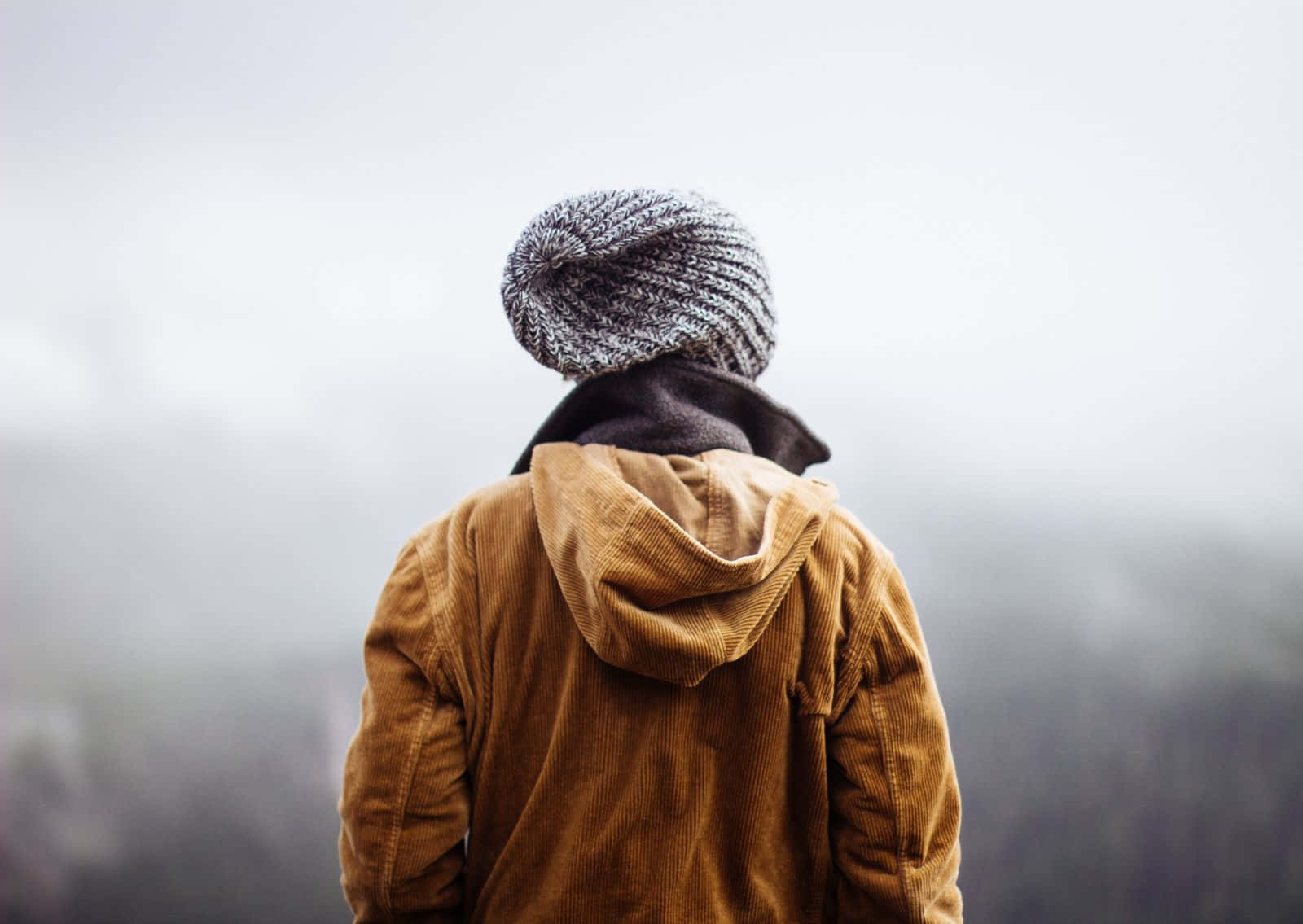 brown corduroy jacket, gray knit beanie, misty, hazy landscape, HD Desktop Wallpaper