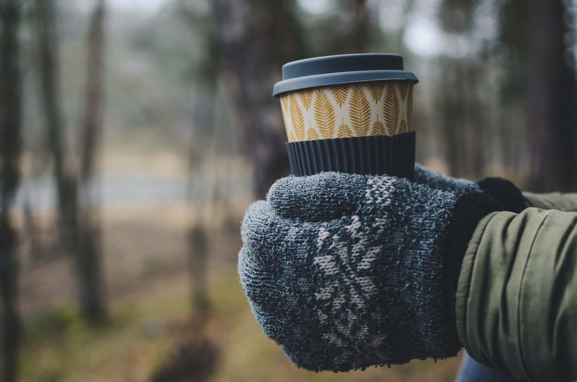mittens, patterned coffee cup, misty forest, Full HD Desktop Wallpaper