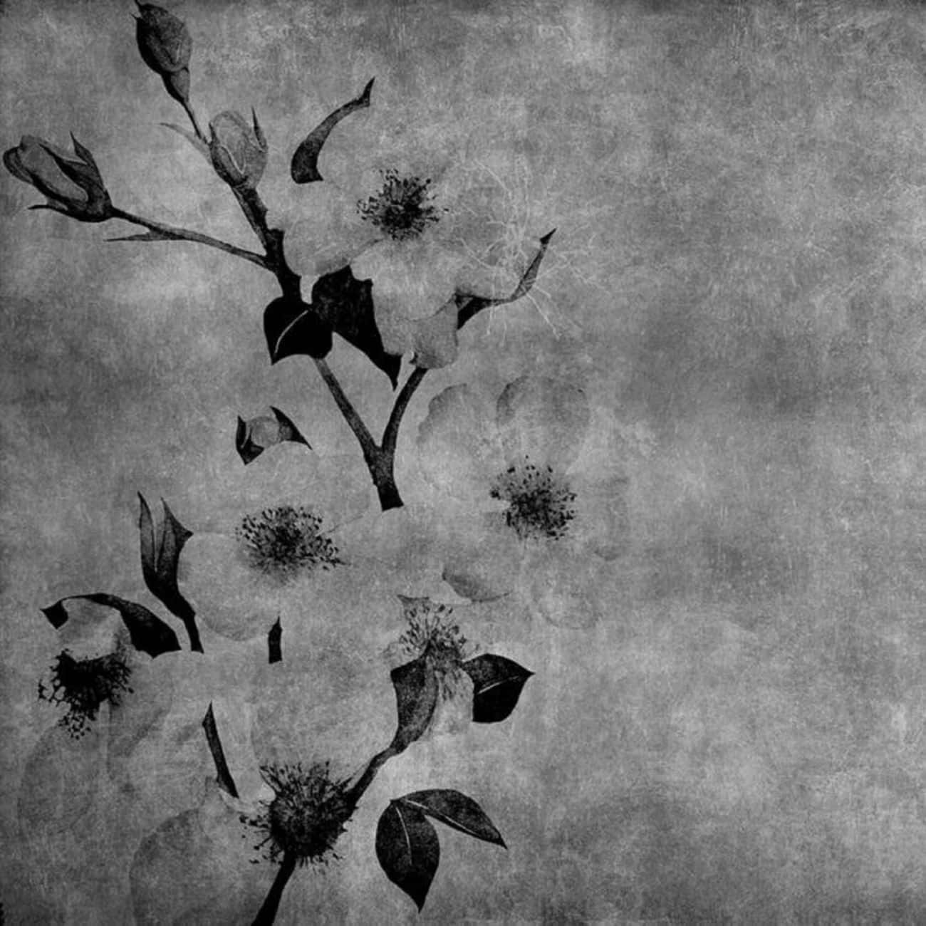 Winter Flowers, monochrome, floral branch, HD Desktop Wallpaper