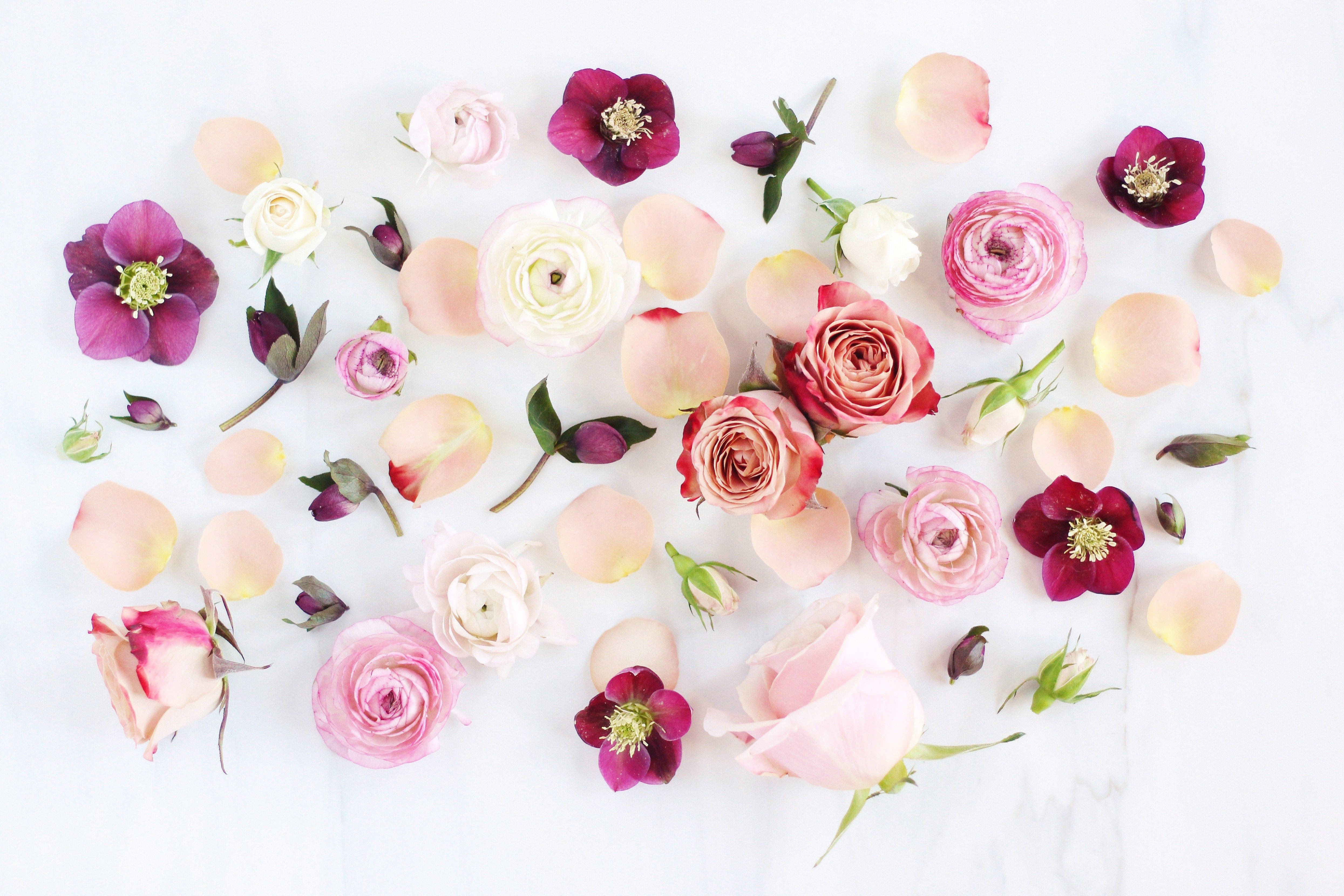 pink, white, purple, 4K Desktop Wallpaper