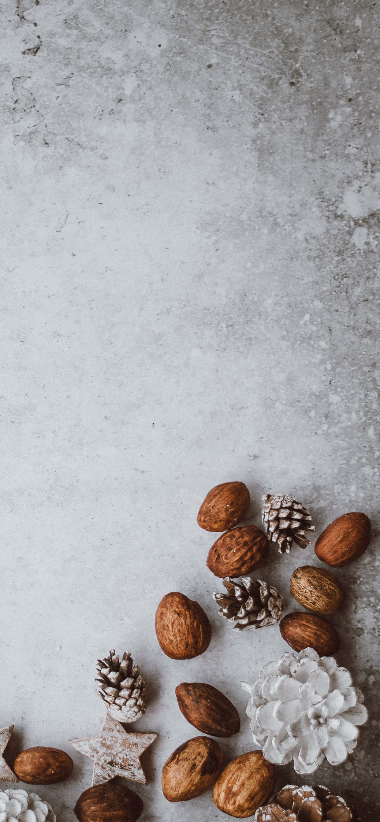 winter food, pinecones, almonds, 2K Phone Wallpaper