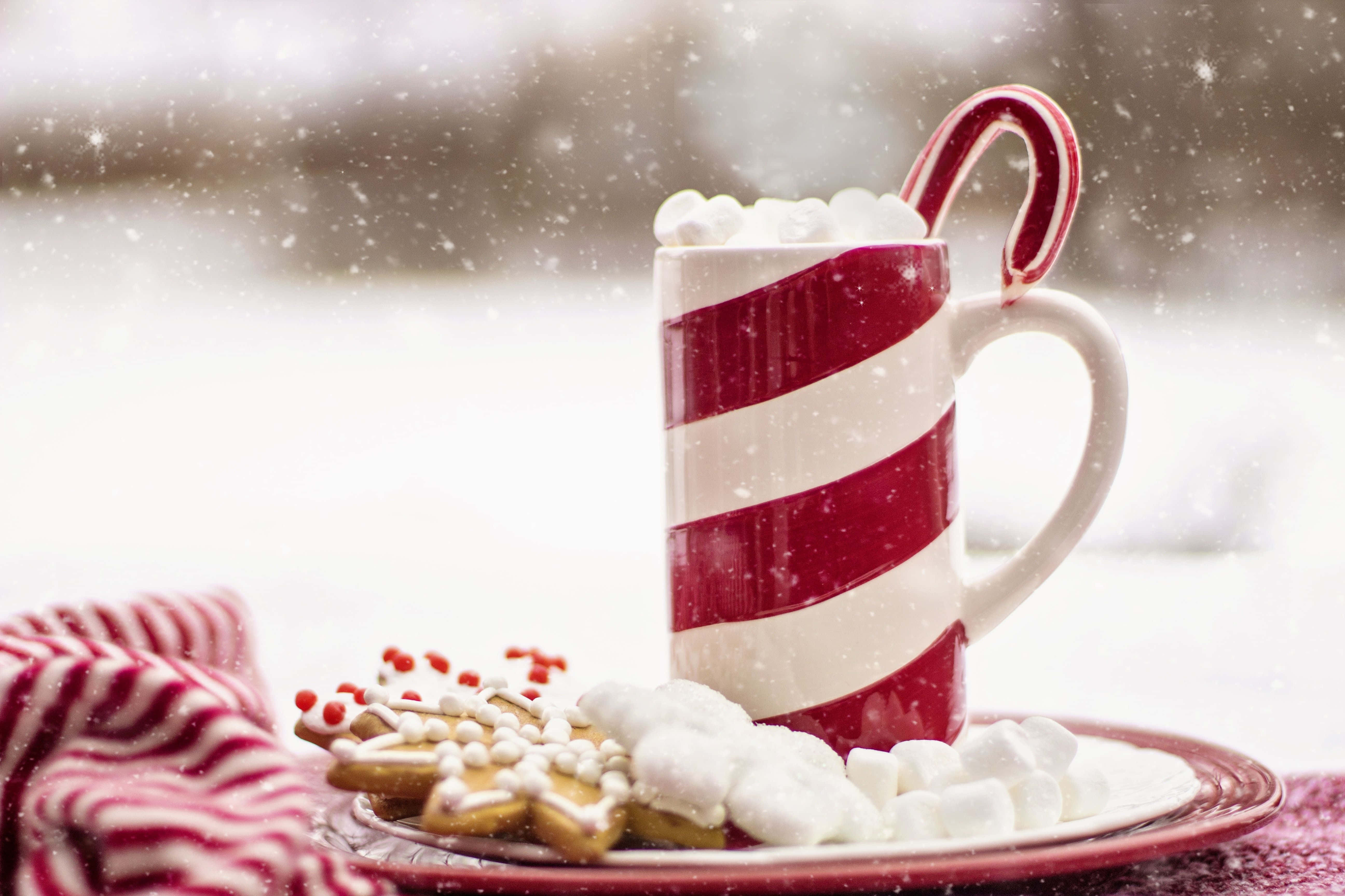 candy cane striped mug, hot cocoa, marshmallows, 5K Desktop Wallpaper