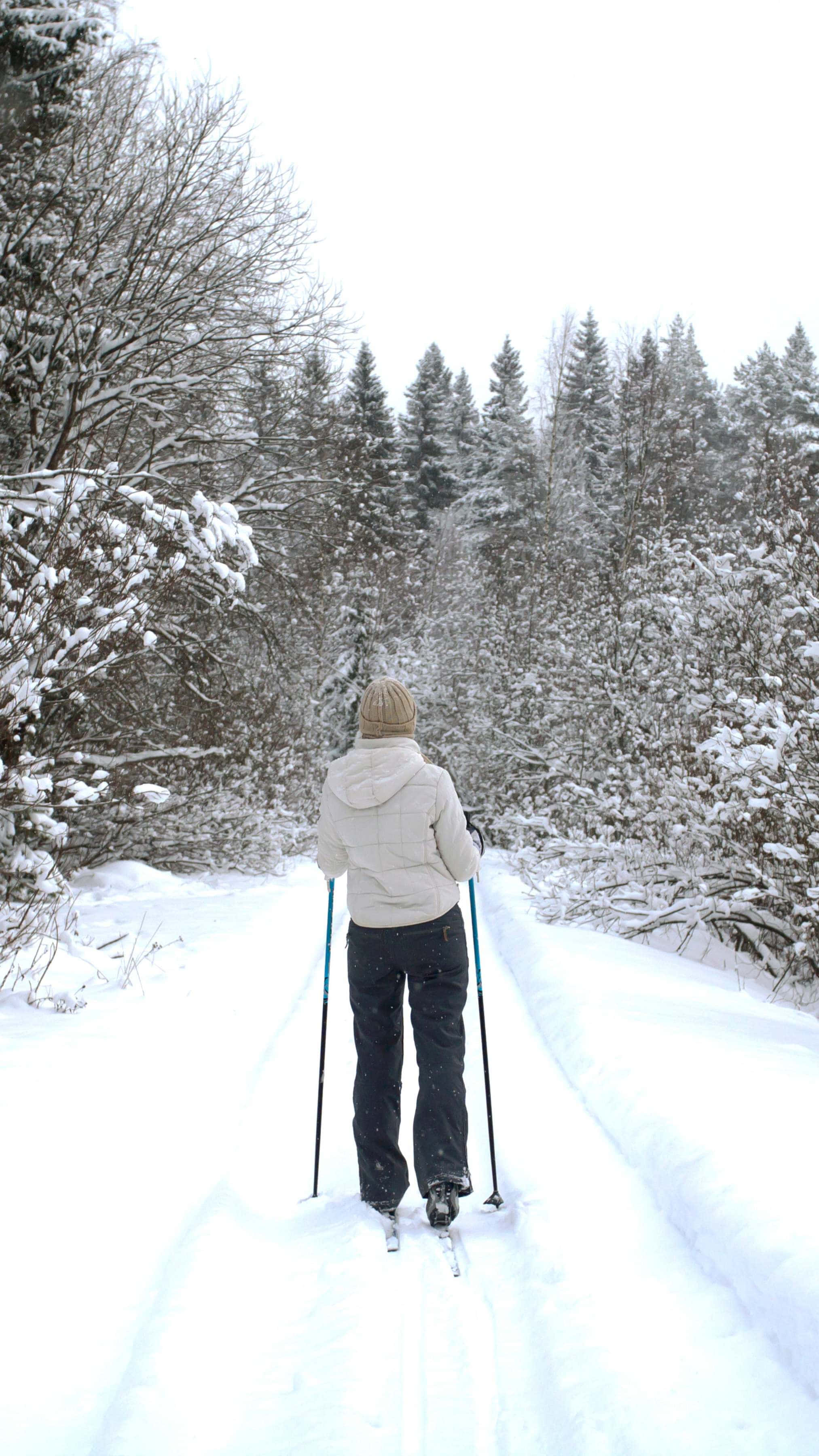 Winter Skiing Adventure Forest Trail, cross-country skiing, snowy trail, 2K Phone Wallpaper