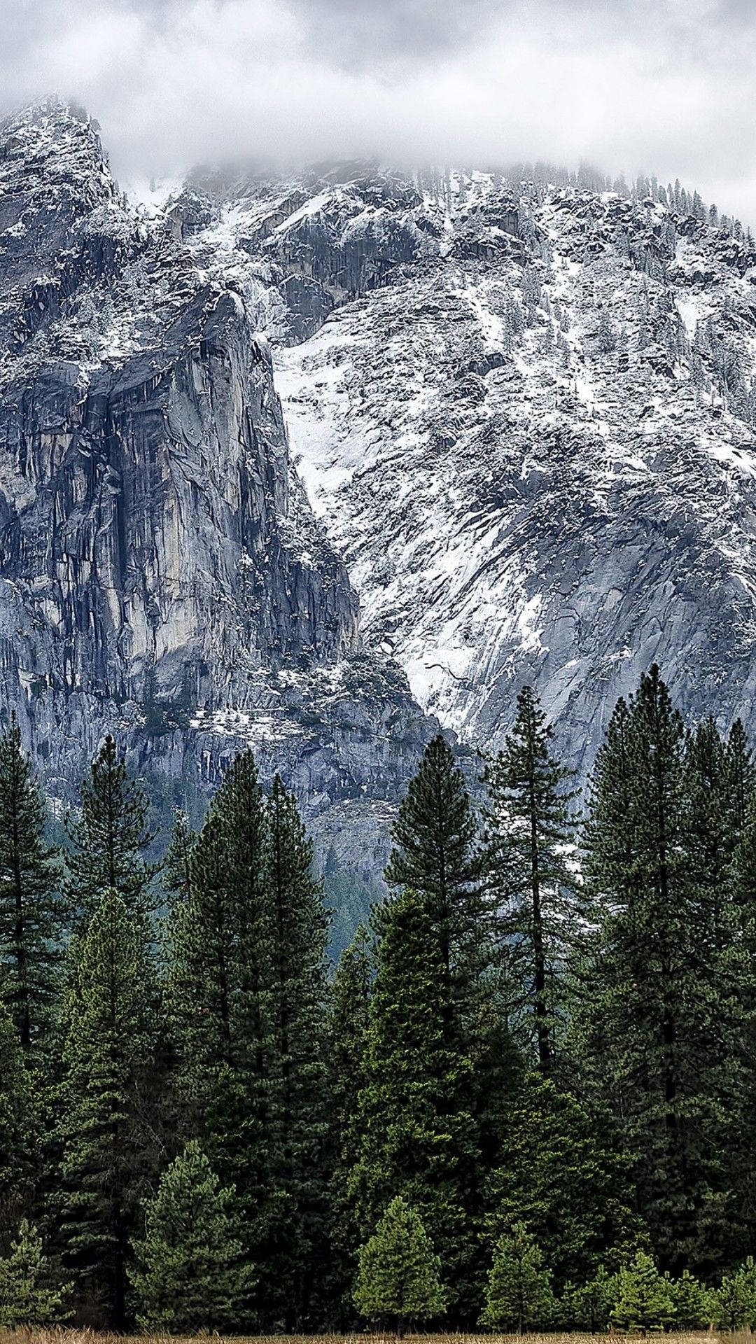 Serene Winter Wonderland, rugged granite cliffs, evergreen trees, Full HD Phone Wallpaper