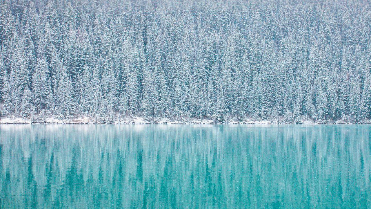 Winter Forest, reflection lake, snow-laden evergreens, HD Desktop Wallpaper