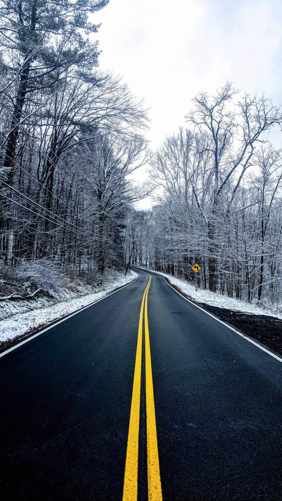 winter road, snowy forest, snow-covered trees, HD Phone Wallpaper