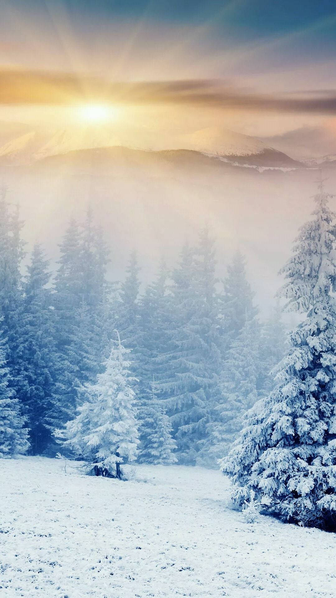 sunrise, snowy forest, mountains, Full HD Phone Wallpaper