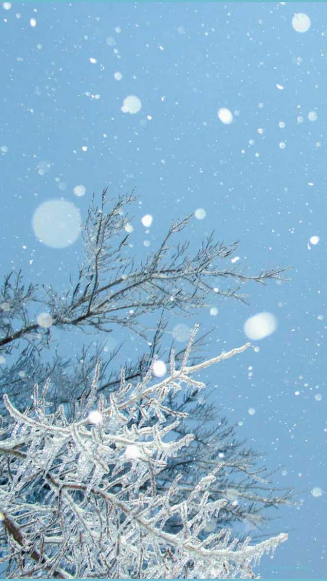 frosty tree branches, clear blue sky, snowflakes, Full HD Phone Wallpaper