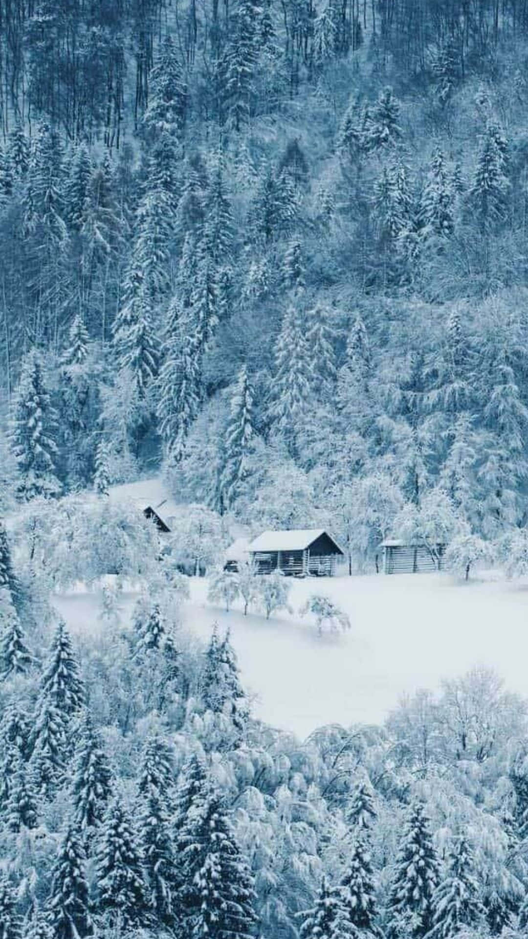 winter forest, snow-covered pine trees, rustic cabins, Full HD Phone Wallpaper