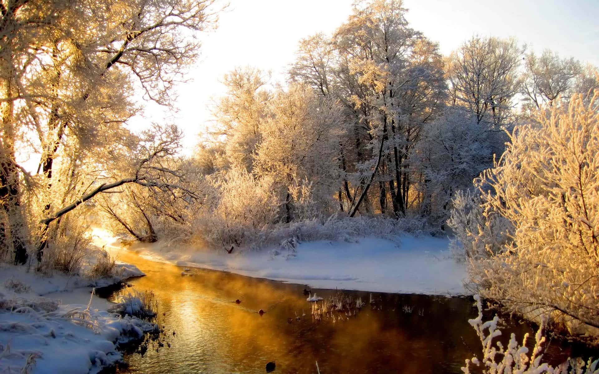 winter forest, winter river, frost-covered trees, Full HD Desktop Wallpaper