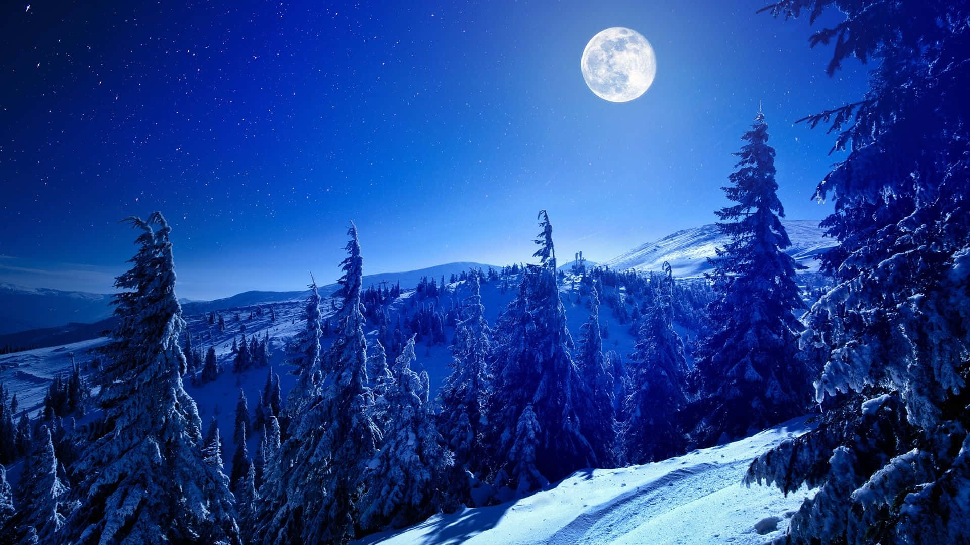 Winter Forest, snowy mountain forest, bright full moon, Full HD Desktop Wallpaper