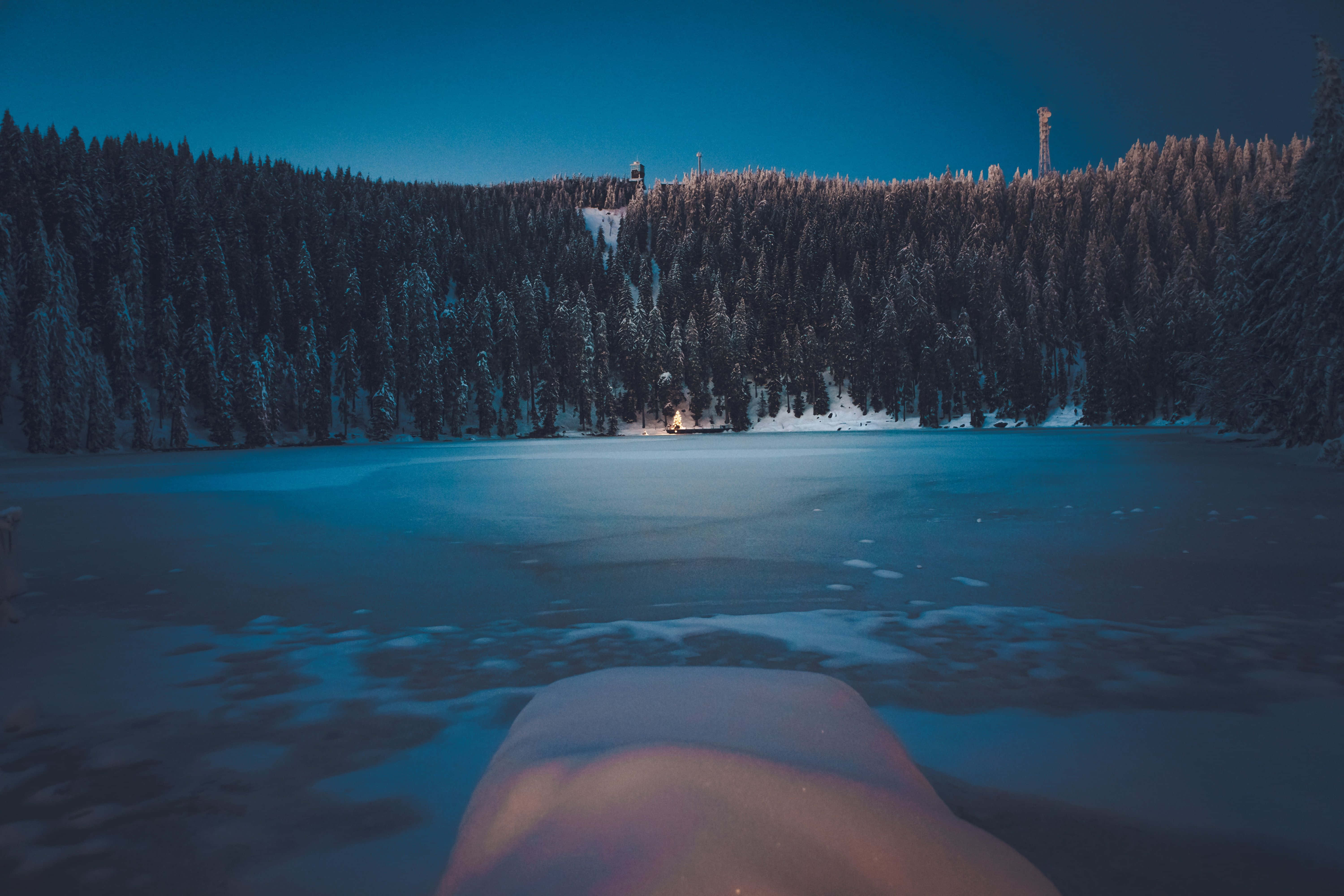 Winter Forest, snow-covered pine trees, frozen lake, 5K Desktop Wallpaper