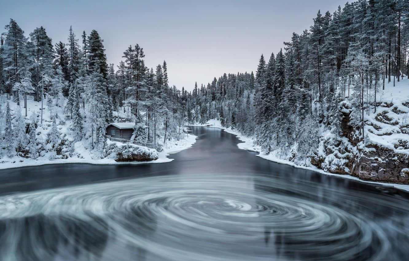 Winter Forest, frozen river, snow blankets, HD Desktop Wallpaper