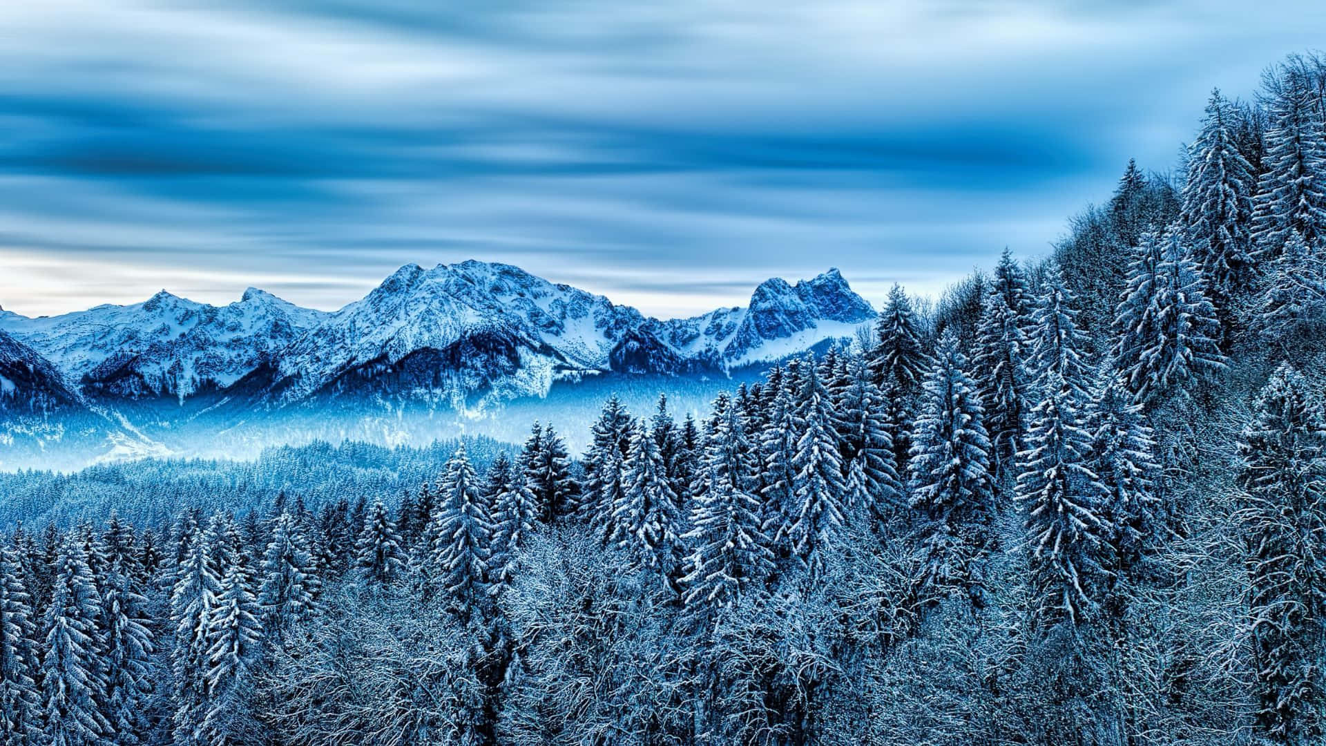 winter forest, evergreen trees, jagged mountain peaks, Full HD Desktop Wallpaper