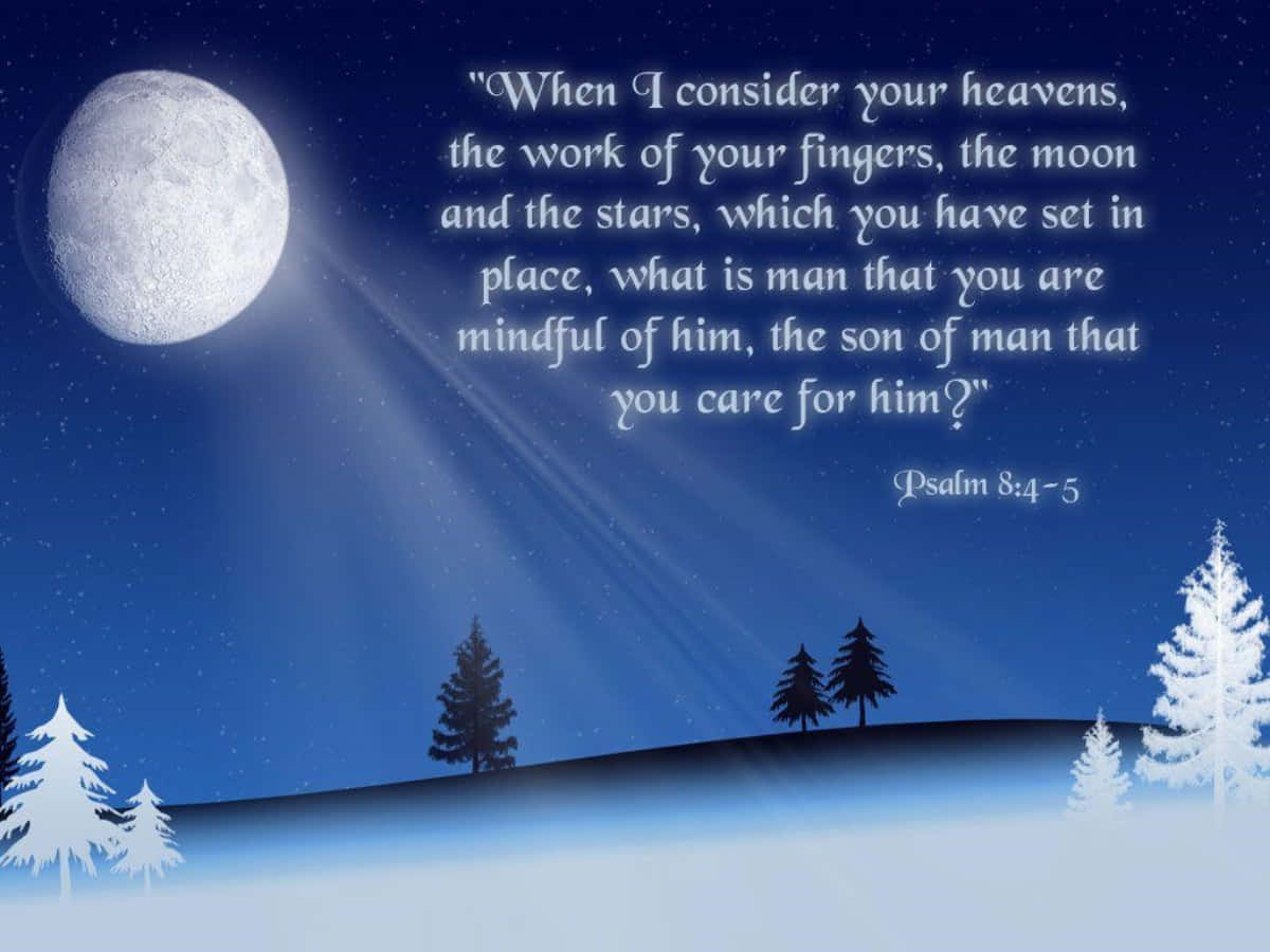 Christmas Scripture, Winter Forest, full moon, SD Desktop Wallpaper