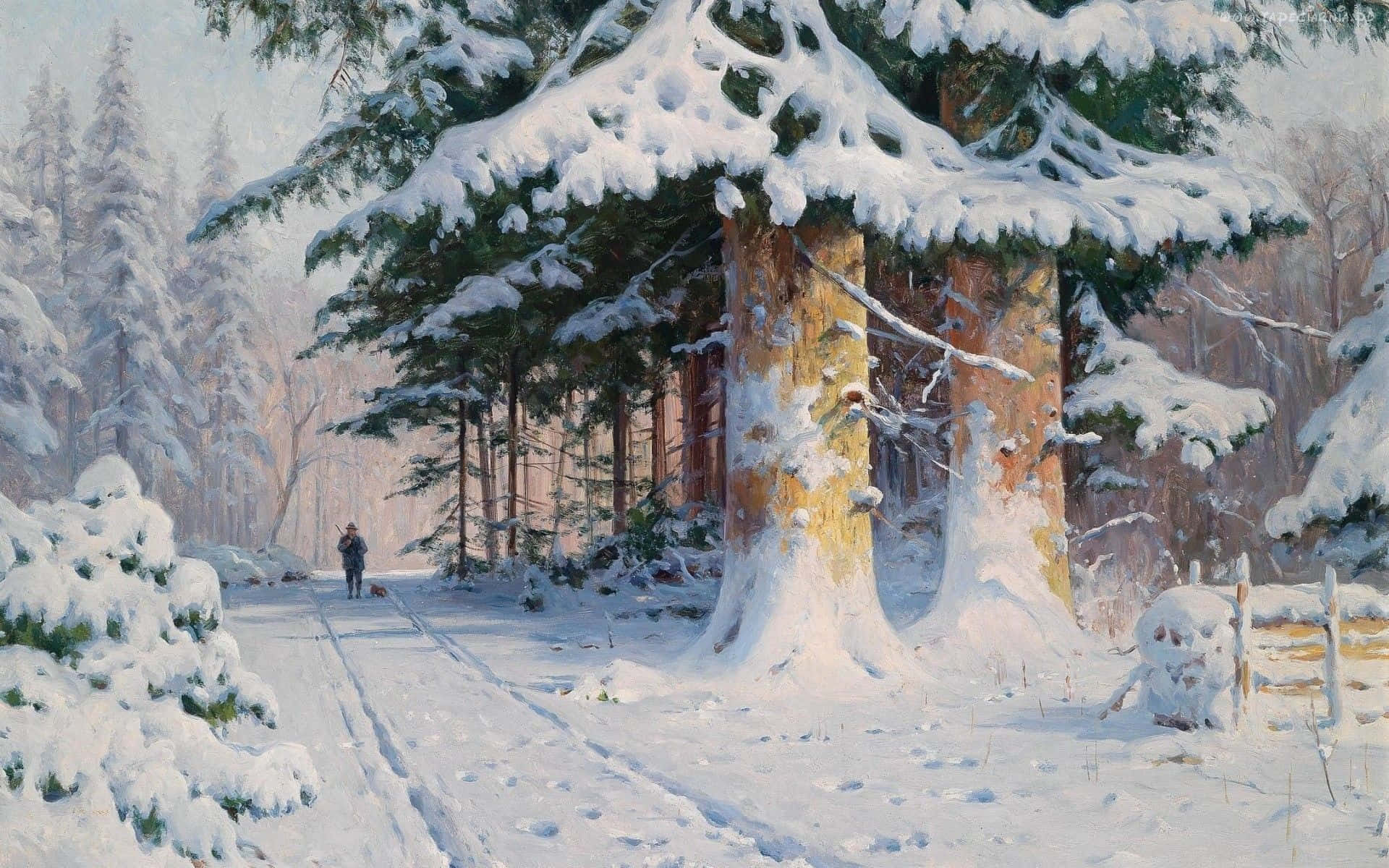 Winter Forest, snowy forest path, towering snow-laden pine trees, Full HD Desktop Wallpaper